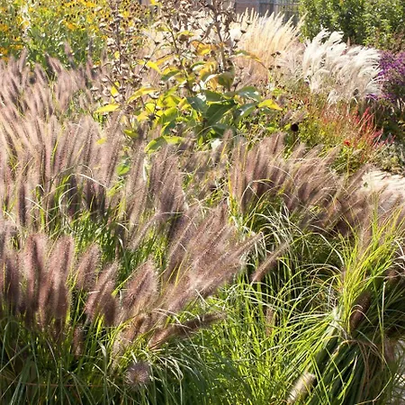 Architectural Gem On The Cornfield Σπίτι διακοπών