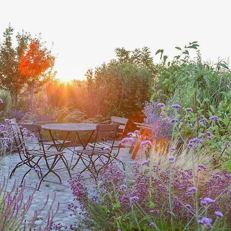 Architectural Gem On The Cornfield