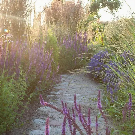 Architectural Gem On The Cornfield