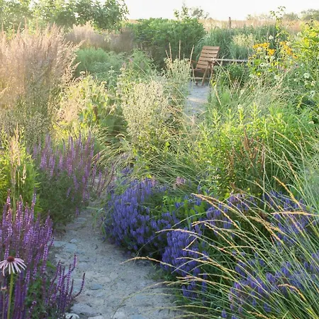 Architectural Gem On The Cornfield Σπίτι διακοπών Lindenhagen