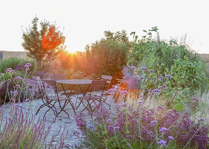 Architectural Gem On The Cornfield
