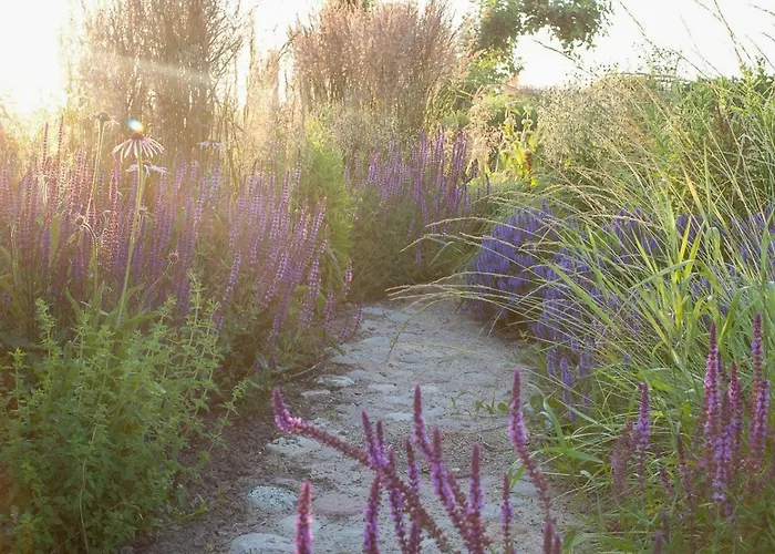 Architectural Gem On The Cornfield